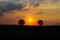 7321DSC_0574.