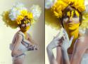 7324blossom__yellow_by_flex_flex-d4oul5g.