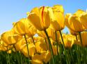 73293_test.