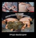 73373_trudobudni.