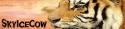 73478_Banner.