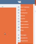 73623_vk_bug.