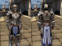 73657_blue_Warden_MS_male.