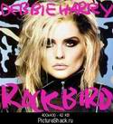 7366Blondie_Rockbird.