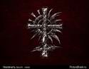 7379trinityblood.