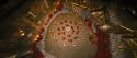 73842_vlcsnap-2014-02-17-16h03m48s97.