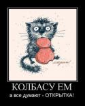 73898-marta-otkrytki-kote-demotivatory-30050.