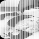 7391title401847134.