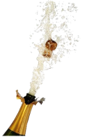 73960_Bouteille.