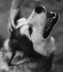 7396tumblr_lvyuyyYozY1qhs2y1o1_500.
