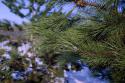 73993_agfacolor200.