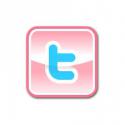 74043_twitterbutton_pink1.