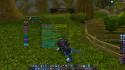 74215_WoWScrnShot_121612_150834.