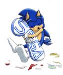 7421Happy_19th_Birthday_Sonic_by_WhiteRaven4.