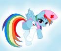 7424rainbow_dash_nurse_by_pyruvate-d3rdjog.