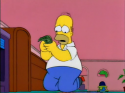 74377_homer-money.