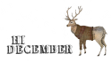 7451.
