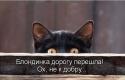 74534_x_f8b6b5de.