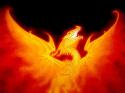 74538_firedragon.