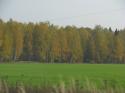 7461IMG_3545.