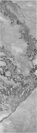 74666_2011c.