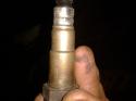 75029_lamb.