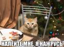 75061_Gkkkv961Ccw.