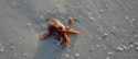75230_tumblr_ljs54cPfhs1qiokc3o1_500_large.