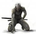 75275_raidenmgs4.