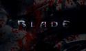 7529Blade.
