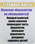 75413_gizn.