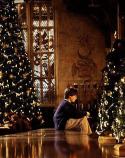 75430_christmas-cinema-deathly-hallows-first-harry-potter-Favim_com-309813.