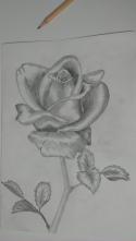 75528_IMAG0308.