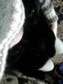 75778_Foto1423.