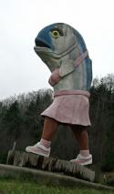 75780_JZE_b_XXl7w.