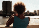 75856_raz-bridge.