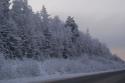 75947_DSC07966.