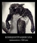 76030_8c0dce82c556.
