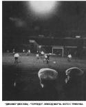 76242_dinamo.