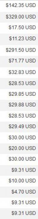 76329_Payment2.