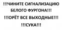 7639_Snimok.