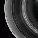 76417_18_03_2013_rings_720.