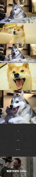 7641_funny-Husky-pun-zombie-Doge.