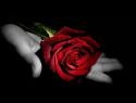 76423c41eea410bed4d99d5860317b70ddd1.