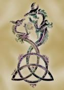 7658_67172699_triquetradragons.