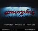 7659Amorphis1.