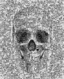 7669human-skull-pencil-drawing-style-thumb1758066_Mosaic02.