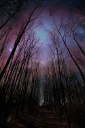 76714_beautiful-night-sky-woods-stars-space.
