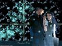 769812122988_1198265775_paradise20kiss16er.