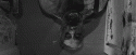 77166_tumblr_m0nhbjc5nH1r3yrmro1_500.